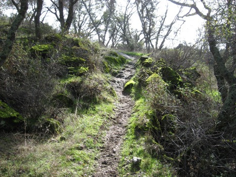 granite_bay_steep_trail